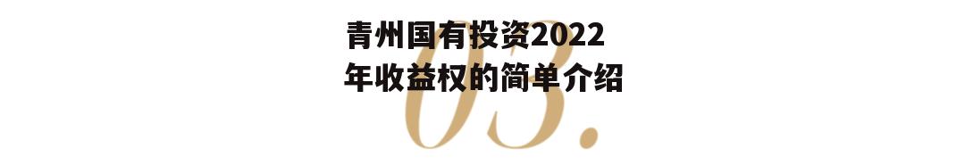 青州国有投资2022年收益权的简单介绍