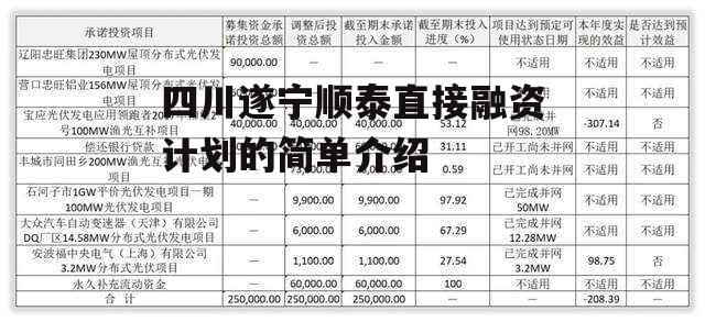 四川遂宁顺泰直接融资计划的简单介绍