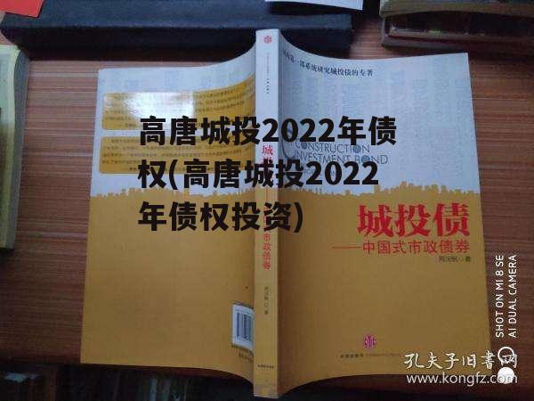 高唐城投2022年债权(高唐城投2022年债权投资)