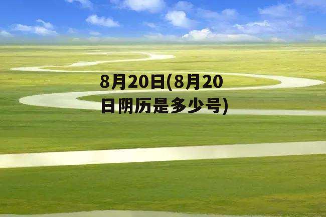 8月20日(8月20日阴历是多少号)