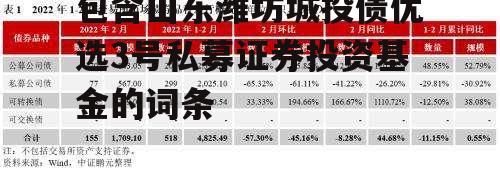 包含山东潍坊城投债优选3号私募证券投资基金的词条