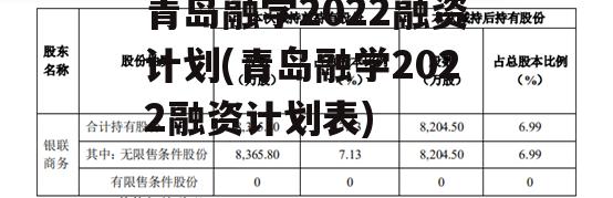 青岛融学2022融资计划(青岛融学2022融资计划表)