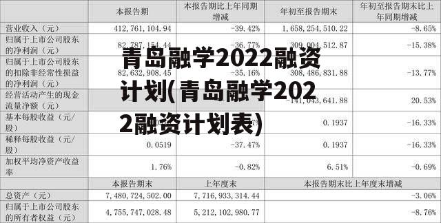 青岛融学2022融资计划(青岛融学2022融资计划表)