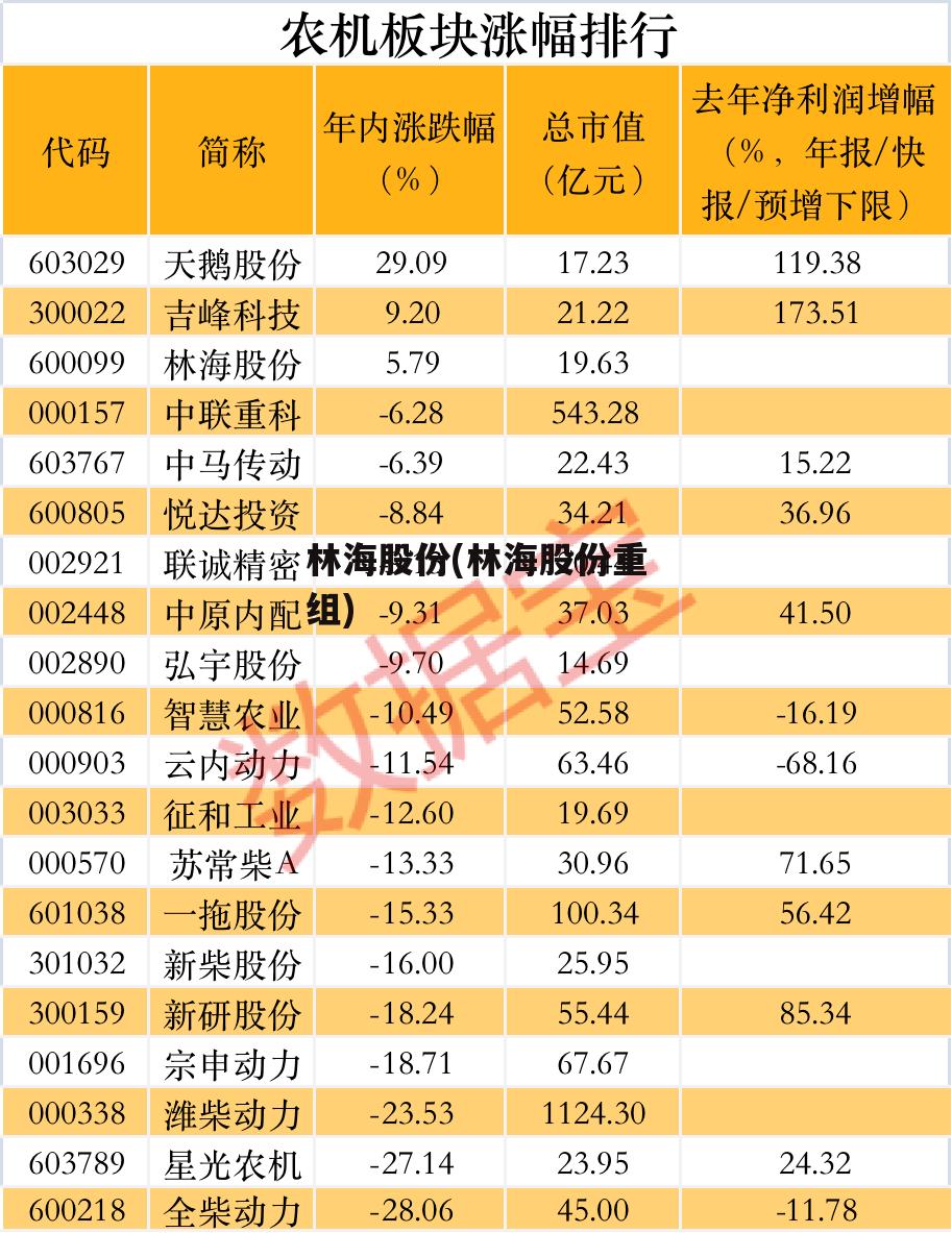 林海股份(林海股份重组)