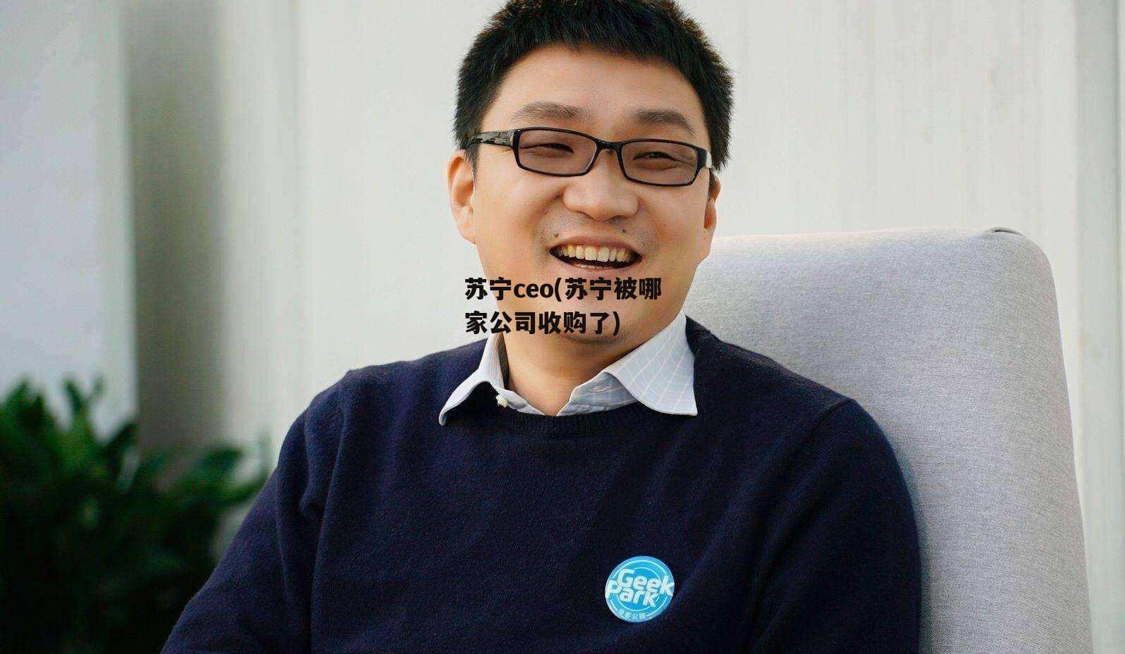 苏宁ceo(苏宁被哪家公司收购了)