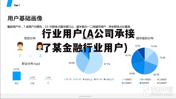 行业用户(A公司承接了某金融行业用户)