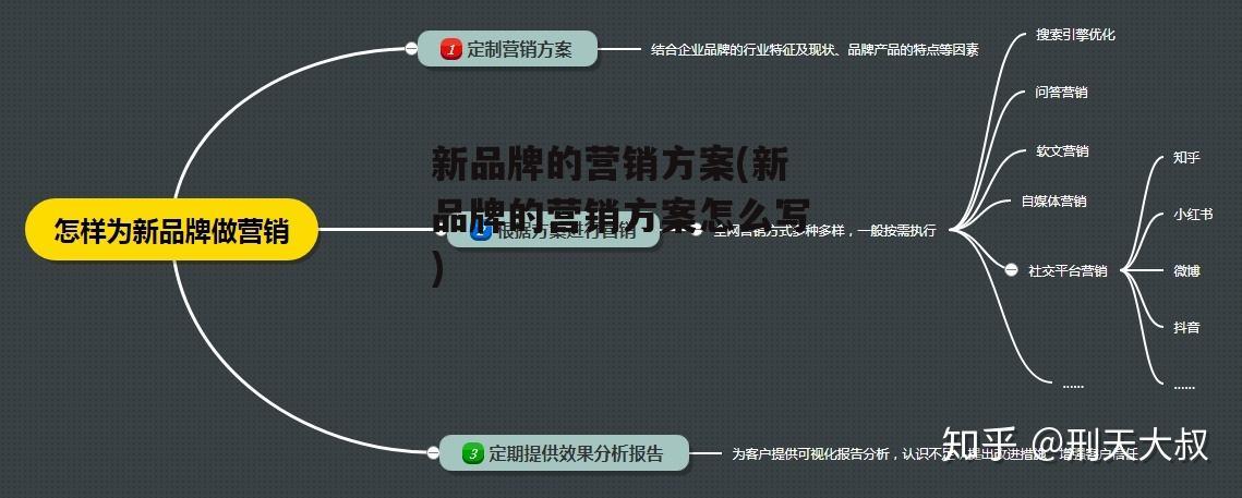 新品牌的营销方案(新品牌的营销方案怎么写)