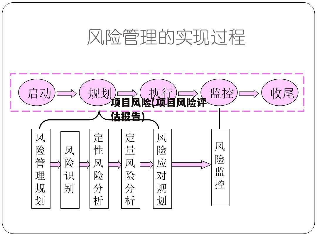 项目风险(项目风险评估报告)