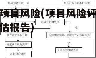 项目风险(项目风险评估报告)