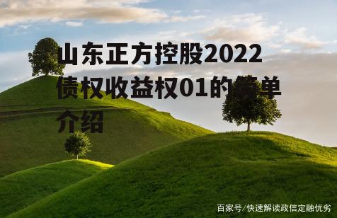 山东正方控股2022债权收益权01的简单介绍