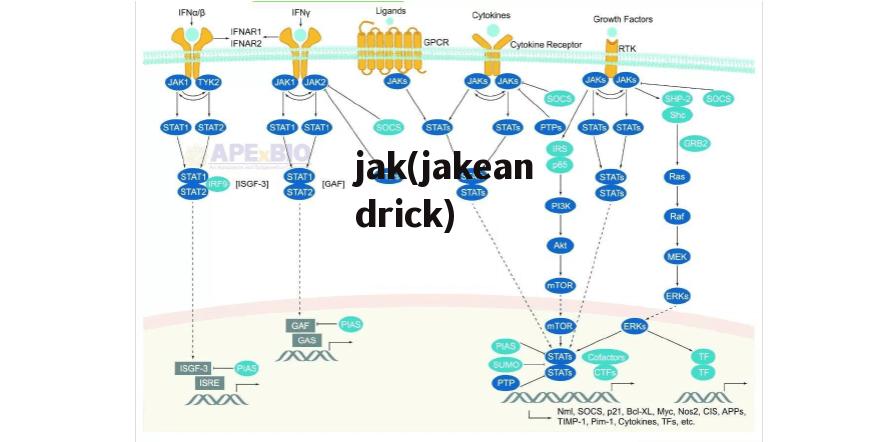 jak(jakeandrick)