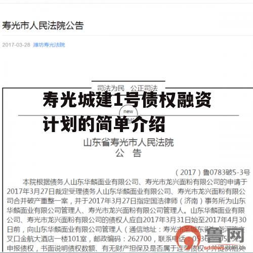 寿光城建1号债权融资计划的简单介绍