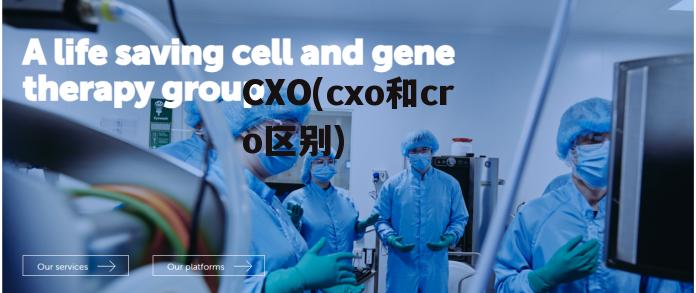 CXO(cxo和cro区别)