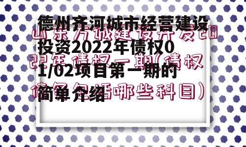 德州齐河城市经营建设投资2022年债权01/02项目第一期的简单介绍