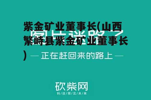 紫金矿业董事长(山西繁峙县紫金矿业董事长)