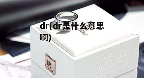 dr(dr是什么意思啊)