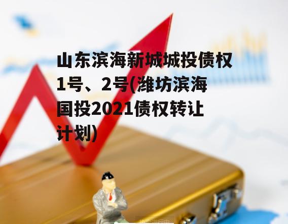 山东滨海新城城投债权1号、2号(潍坊滨海国投2021债权转让计划)