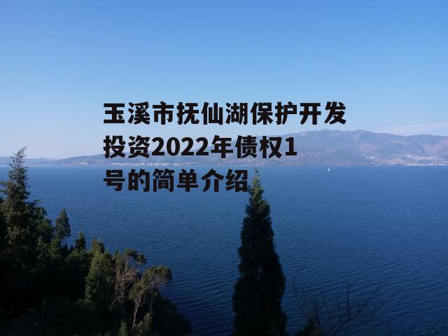 玉溪市抚仙湖保护开发投资2022年债权1号的简单介绍