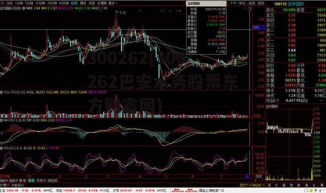 300262(300262巴安水务股票东方财富网)
