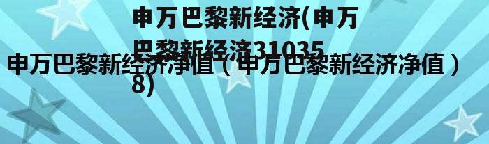 申万巴黎新经济(申万巴黎新经济310358)