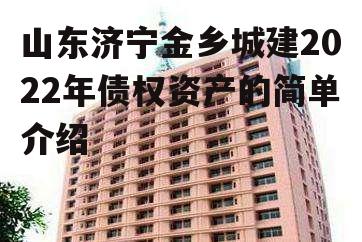 山东济宁金乡城建2022年债权资产的简单介绍