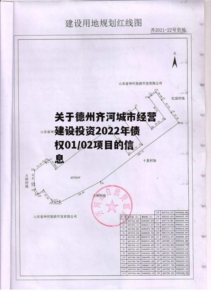 关于德州齐河城市经营建设投资2022年债权01/02项目的信息