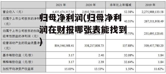 归母净利润(归母净利润在财报哪张表能找到)