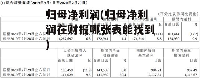 归母净利润(归母净利润在财报哪张表能找到)