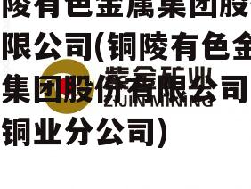 铜陵有色金属集团股份有限公司(铜陵有色金属集团股份有限公司金威铜业分公司)