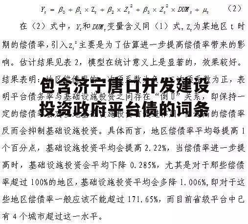 包含济宁唐口开发建设投资政府平台债的词条