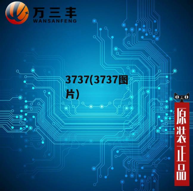 3737(3737图片)