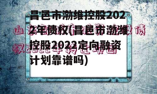 昌邑市渤维控股2022年债权(昌邑市渤潍控股2022定向融资计划靠谱吗)