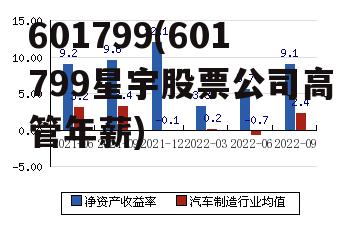 601799(601799星宇股票公司高管年薪)