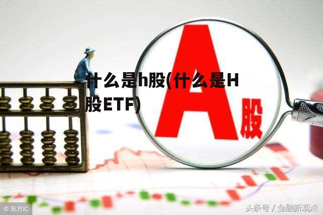 什么是h股(什么是H股ETF)