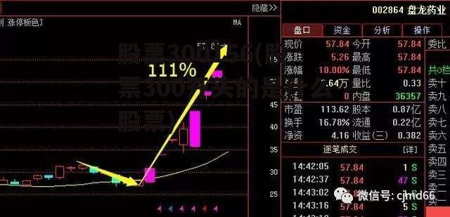 股票300156(股票300开头的是什么股票)