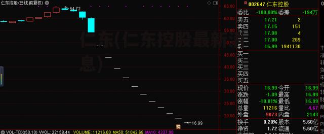 仁东(仁东控股最新消息)