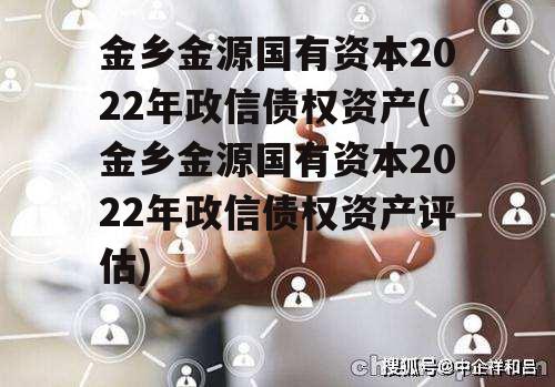 金乡金源国有资本2022年政信债权资产(金乡金源国有资本2022年政信债权资产评估)