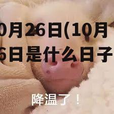 10月26日(10月26日是什么日子?)