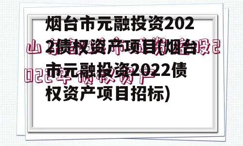 烟台市元融投资2022债权资产项目(烟台市元融投资2022债权资产项目招标)