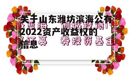 关于山东潍坊滨海公有2022资产收益权的信息