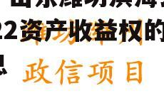 关于山东潍坊滨海公有2022资产收益权的信息