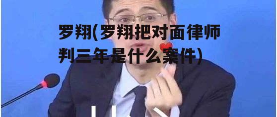 罗翔(罗翔把对面律师判三年是什么案件)