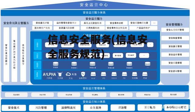 信息安全服务(信息安全服务规范)