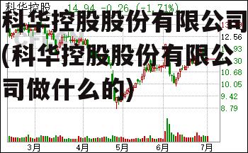 科华控股股份有限公司(科华控股股份有限公司做什么的)