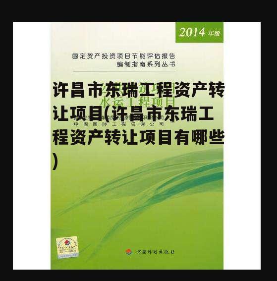 许昌市东瑞工程资产转让项目(许昌市东瑞工程资产转让项目有哪些)