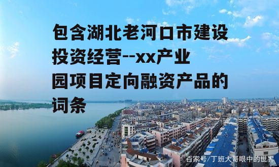 包含湖北老河口市建设投资经营--xx产业园项目定向融资产品的词条