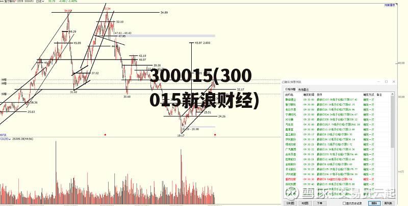 300015(300015新浪财经)