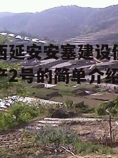 陕西延安安塞建设债权资产2号的简单介绍