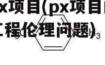 px项目(px项目的工程伦理问题)