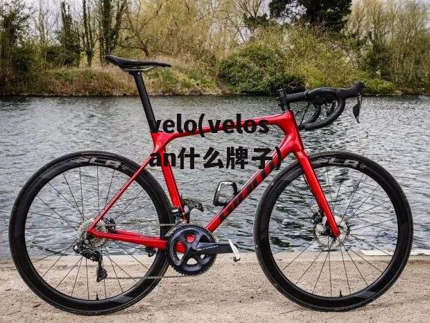 velo(velosan什么牌子)